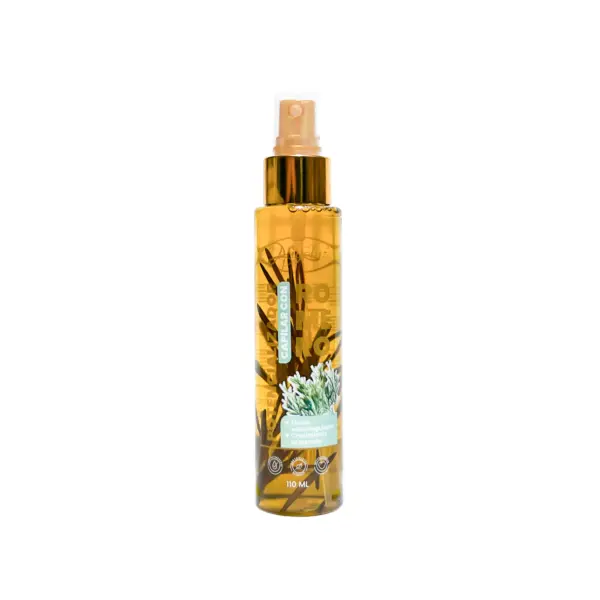 Potencializador Anyeluz de Romero 110ml
