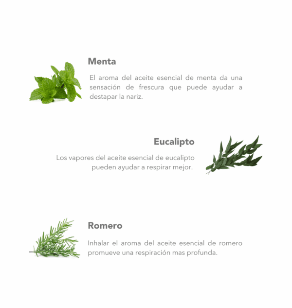 Tubo Aromatico Havva Menta y Eucalipto - Imagen 2
