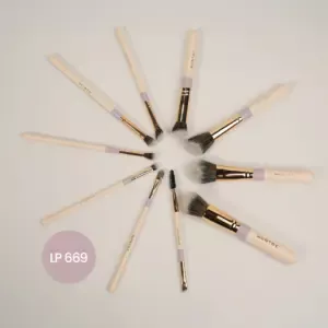 Kit de Brochas Fluffy x10uds Montoc