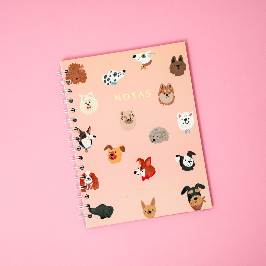 Cuadernos Con Causa Mi Diario Financiero - Imagen 4