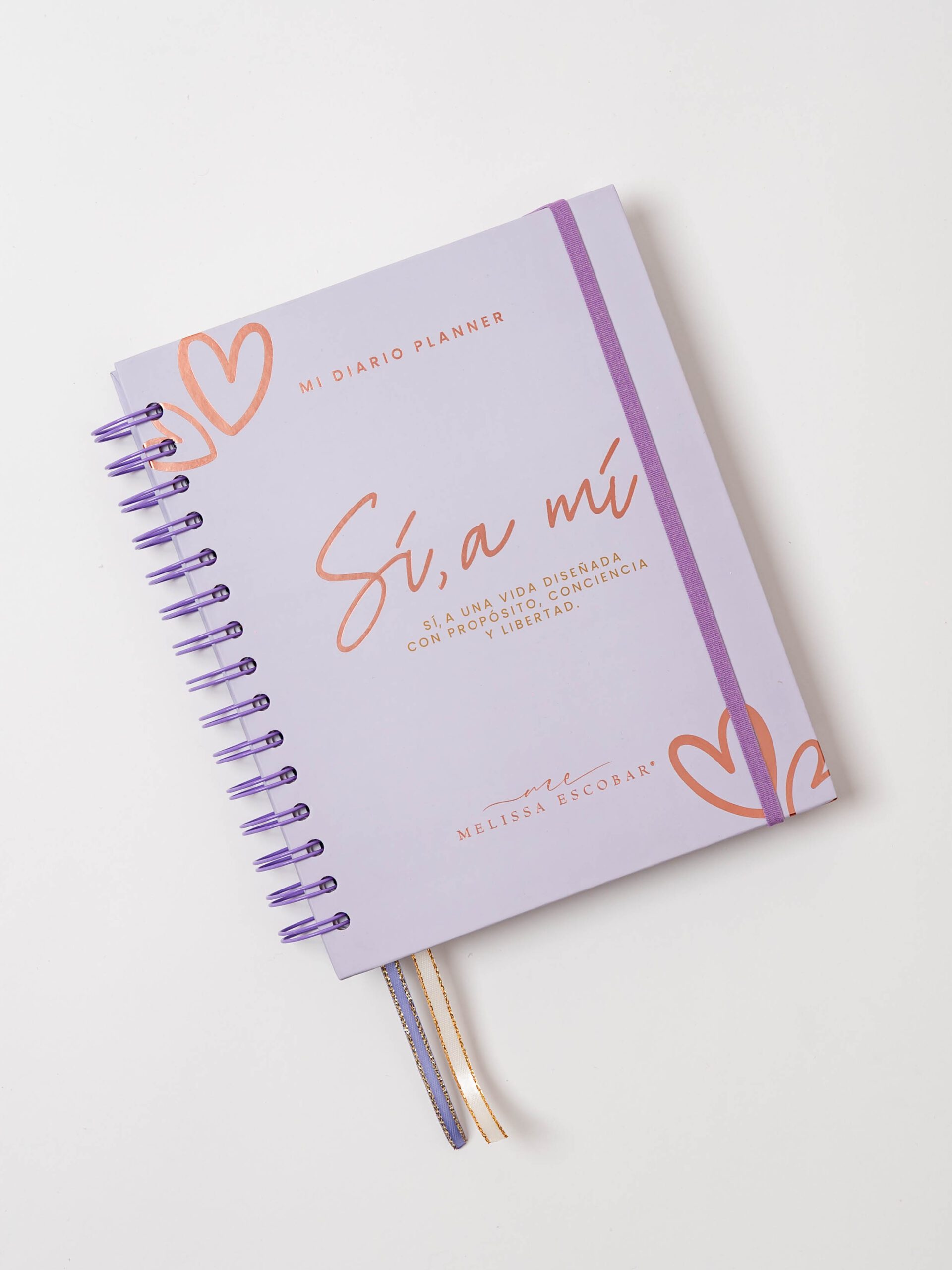 Diario Planner Si A Mi Mi Diario Financiero